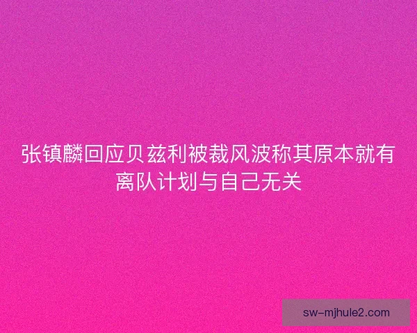 张镇麟回应贝兹利被裁风波称其原本就有离队计划与自己无关
