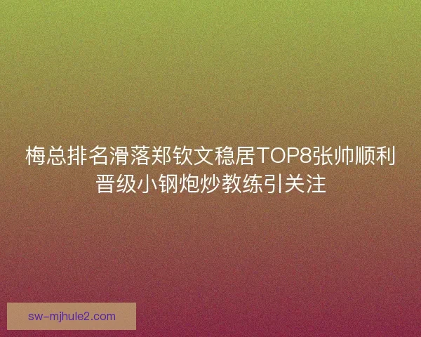 梅总排名滑落郑钦文稳居TOP8张帅顺利晋级小钢炮炒教练引关注 梅总排名滑落郑钦文稳居TOP8张帅顺利晋级小钢炮炒教练引关注